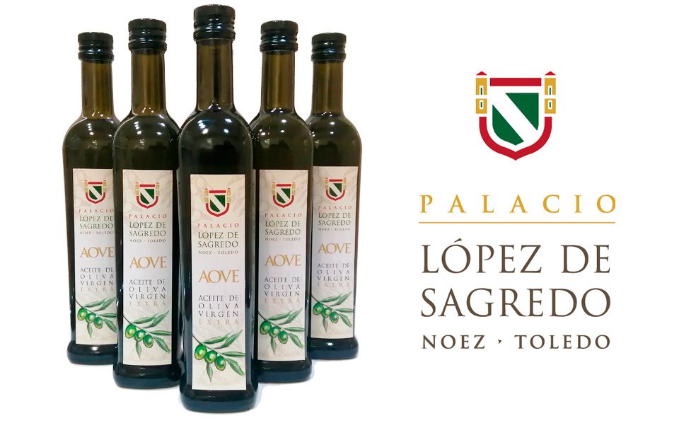 AOVE Palacio López de Sagredo